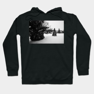 Snow Fall in Black and White Hoodie